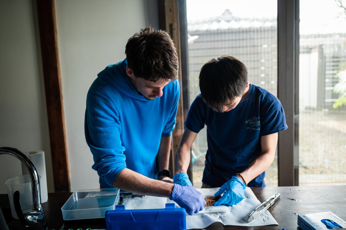Jeremy and a colleague dissecting a giant isopod at a lab bench